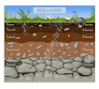 LLBOGRGGN Environmental Science Poster Soil Layers Chart Ecosystem Diagram Educational Wall-Art for School Office(Unframed,08x12inch(20x30cm))