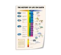 LLBOGRGGN Evolution Timeline Wall Art - The History of Life on Earth Canvas Poster, Scientific Decor for Living Room, Classroom or Library(Unframed,12x18inch(30x45cm))