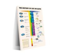 LLBOGRGGN Evolution Timeline Wall Art - The History of Life on Earth Canvas Poster, Scientific Decor for Living Room, Classroom or Library(Framed,08x12inch(20x30cm))