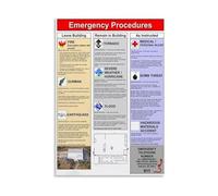 LLBOGRGGN Family Emergency Plan Chart Canvas Poster Preparedness Guide Wall-Art for Home Office Garage Mudroom(Framed,12X18inch(30X45cm))