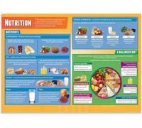 LLBOGRGGN Food Groups Poster MyPlate Guide for Health and PE Classroom Decor Middle High School Nutrition Education Chart(Framed,12x18inch(30x45cm))