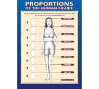 LLBOGRGGN Human Figure Proportions Poster Art Classroom Decor Middle School High Drawing Aid Educational Wall Chart for Lessons(Unframed,08x12inch(20x30cm))