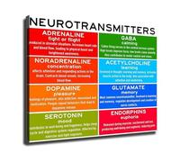 LLBOGRGGN Mental Wellness Neurotransmitter Chart - Brain Chemistry Poster for Study Room & Office(Unframed,16x24inch(40x60cm))