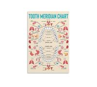 LLBOGRGGN Meridian Tooth Anatomy Canvas Print, Framed Educational Wall-Art, Decor for Clinic, Office, or Home Library(Unframed,12x18inch(30x45cm))