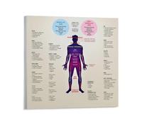 LLBOGRGGN Mind Body Connection Poster Emotions and Physical Pain Chart Mental Health Guide Office Home Wall-Art(Unframed,16x24inch(40x60cm))