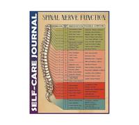 LLBOGRGGN Nervous System Wall Art Poster: Anatomical Chart of Spinal Nerve Functions and Body Pathways(Framed,12x18inch(30x45cm))