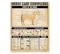 LLBOGRGGN Parts Of The Horse Equestrian Guide Metal Sign Infographic Aluminum Wall-Art for Farm Barn Stable 8 X 12 inch