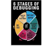 LLBOGRGGN Programmer Gift Idea 6 Stages Of Debugging Poster Funny Coding Wall-Art for Software Developers Office Desk Classroom Decor(Unframed,16x24inch(40x60cm))