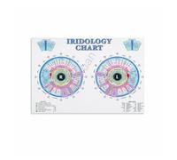 LLBOGRGGN Retro Holistic Health Chart: Iridology Reference - Canvas Print for Vintage Apothecary Style, Yoga Studio, Wellness Room(Unframed,08x12inch(20x30cm))