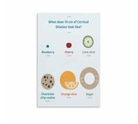 LLBOGRGGN Stages of Labor and Delivery Poster Cervical Dilation Educational Chart Wall-Art for Doula Childbirth Educator Classroom (Framed,12x18inch(30x45cm))