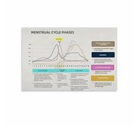 LLBOGRGGN Understanding the Menstrual Cycle Poster Hormone Level Chart Educational Womens Health Wall-Art for Study Clinic Room(Unframed,12x18inch(30x45cm))
