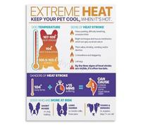 LLBOGRGGN Veterinary Office Decor Summer Dog Poster Heat Stroke Risks and Prevention Guide Canvas Wall-Art for Animal Clinic Kennel Staff Training(Framed,12x18inch(30x45cm))