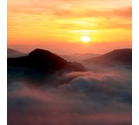 Llewellyn - DVD Greeting Card - Night and Day
