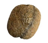 LLHCF Cueva de roca de simulación para acuarios, escondite para peces, camarones, cría, terrarios, refugio, decoración de paisaje, peceras, cuevas