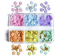 LLHCF Juego de accesorios de flores de resina mixta de 6 compartimentos con cuentas doradas y plateadas