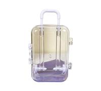 LLHCF Maleta de equipaje en miniatura para almacenamiento, para viajes, vacaciones, juguetes, caramelos, modelo de bolso de mano, accesorio para muñecas, White, S