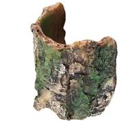 LLHCF Recipiente de ABS para baño y alimentación, recipiente poco profundo para tortugas, lagartos, anfibios y bandeja de alimentación