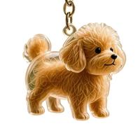 LLINthy Llavero conmemorativo transparente de pelo de mascotas, recuerdo de perros, joyas, soporte para pieles de perro, regalo emocional para dueños de mascotas, pérdida de dolor