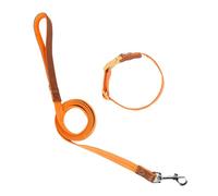 LLLmhuaa Correa de collar de perro para correr, senderismo y natación, para perros grandes, correa para perros