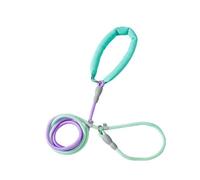 LLLmhuaa Correa para perros de 150 cm/200 cm/250 cm para perros grandes, cuerda extensible resistente con degradados, correas de color para correas resistentes a prueba de masticación