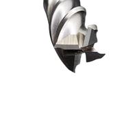 LLMWFA Cortador de fresas HSS 2, 3 y 4 flautas, cortador molino Metal D1-50mm, fresa extremo recto alta precisión, 1 ud(21MM*4)