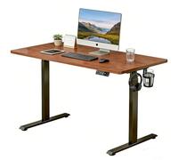 LLNWDNB Escritorio Elevable Eléctrico Función de Memoria con 3 Alturas Un Solo Motor Escritorio para Ordenador Mesa de Trabajo Ajustable en Altura para Oficina,Estudiar,Trabajar A,100CM
