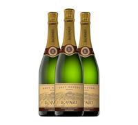 Llopart Brut Nature Corpinnat Reserva 75 cl Espumoso blanco (Caja de 3 Botellas de 75 cl)