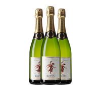 Llopart Nèctar Terrenal Semi-Seco Semi-Dulce Corpinnat 75 spumoso blanco (Caja de 3 Botellas de 75 cl)