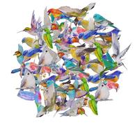 LLOUSSAK 40 pegatinas de pájaro, pegatinas para álbum de recortes, pegatinas impermeables para ventana, pegatinas coloridas, transparentes, de pájaro, pegatinas decorativas para teléfono móvil, pared,