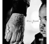 Lloyd Banks - Course Of Inevitable [Vinilo]