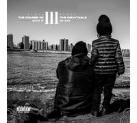 Lloyd Banks - The Course Of The Inevitable 3: Pieces Of My Pain [Vinilo]