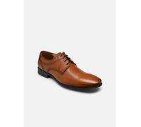 Lloyd OSMOND 40 Marrón