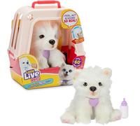 LLP Little Live Pets Luna la Samoyedo, perrita interactiva | +60 sonidos y reacciones, parpadea como un perrito de verdad; incluye transportín deluxe; a partir de 4 años