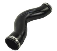 LLS-GERMANY Manguera turbo compatible con Ford S-Max (WA6), 2.2 TDCi, 1739024, 1596810, 1 596 810, 1 739 024, 8G916K683AB, 8G916K683AC, AG916K683BB, 14948
