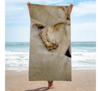 LLSZAHD Toalla Playa Dos Gatos durmiendo Toallas de Playa SúPer Suave Toallas de Sauna Ligera Portá Til Towel para Yoga Toalla Microfibra 70x150cm