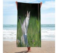 LLSZAHD Toalla Playa Lindo Gato explorando Toalla Microfibra Grande, Toallas de Playa Suave de Secado RáPido Camping Ligera y PortáTil Toallas 200x200cm