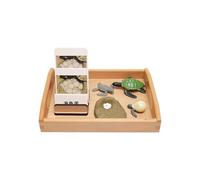 LLTCMYGS Conjunto de Modelos de Crecimiento de Tortuga Montessori, Juguetes de lenguaje correspondientes al Modelo de Animal y Tarjeta.
