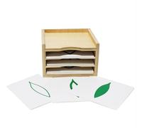 LLTCMYGS Gabinete Montessori de Hojas con Tarjetas de Botánica, Material de Aprendizaje Sensorial de Madera, Juguete Educativo de Ciencia Temprana,Set