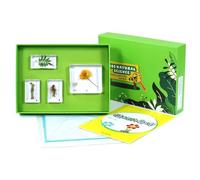 LLTCMYGS Juego de Muestras de Plantas de Flores Montessori en Resina, Juguetes Educativos y de Divulgación Científica