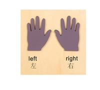 LLTCMYGS Juguete Educativo de Tablero de Rompecabezas Montessori, Animales, Frutas, Partes del Cuerpo, Vehículos y Estructura de la Tierra,Left and Right Hands