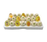 LLTCMYGS Juguetes del Proceso de Eclosión de Pollitos Montessori, Juguetes de Educación Científica para la Primera Infancia