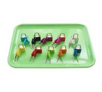 LLTCMYGS Set de Cerraduras y Llaves Montessori, 10 Candados de Aprendizaje de Colores con Llaves a Juego,Plastic Trays