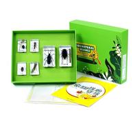 LLTCMYGS Set de especímenes de Resina de plagas Montessori, pisapapeles de Resina, Regalo de especímenes para Navidad