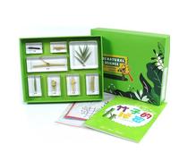 LLTCMYGS Set de Muestras de Resina de Bambú Montessori, Decoración de Cubo de Resina, Educación Científica para Niños