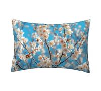 LLWYH Fundas Cojines 50x70 cm, Juego de 2 Cojines Azul para Sofa, Suave Funda Almohada de Terciopelo Funda Cojin Flor de Melocotón Decoracion para Sofá, Dormitorio Sala de Estar -TER265