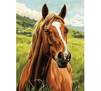 LLWYH Pintar por Numeros Caballo, DIY Pintar por Numeros Adultos Pradera 30x40 cm, Cuadros para Pintar por Numeros con Pinceles y Pinturas para Decoración del Hogar (Sin Marco) -YH919