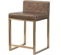 LMMSHA Breakfast Chairs Front Desk Chair, Counter, Stainless Steel Bar, Light Luxury, Xinzhong Stool Kitchen(Brown)