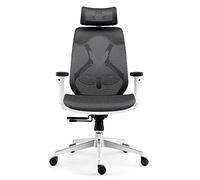 LMMSHA Desk High Back Computer Recliner with Breathable Mesh Adjustable Lumbar Support for Study Office Meeting Gaming Chair