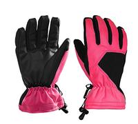 LMMSHA Snowboarding Skiing Mittens Ski Touchscreen Men Women Gloves for Hiking Outdoor