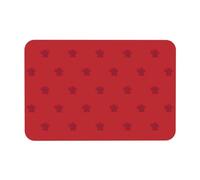LMNUDS Alfombrilla de baño con estampado de bandera de Marruecos, alfombrilla de ducha de tierra de diatomeas, antideslizante para suelo de baño, diseño compacto, 23.6 x 15.7 pulgadas